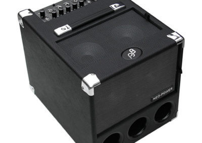 P: BG-150 Bass Combo Amp “Flightcase” | Phil Jones Bass