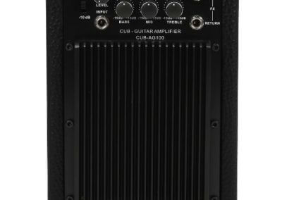 P: AG-100 Guitar Combo Amp “CUB” | Phil Jones Bass